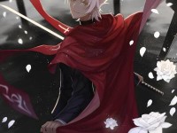 《FGO》天草四郎详解（属性解析、技能评测、配阵推荐）