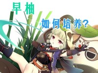 新手女生也能成为原神攻略高手（女性玩家们在原神世界中的崛起与成长）