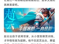 赵云铭文出装新手攻略（教你如何为赵云选择适合的铭文和出装装备）