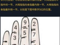 犯罪大师倒计时的车轮解密（破解游戏玩家必看！一文带你玩转犯罪大师倒计时的车轮）