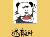 玩转操作游戏（从小白到高手，一起来掌握游戏的绝技吧！）