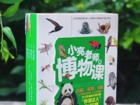 《宝藏老师出装攻略最新》（跟随攻略轻松掌握宝藏老师最强装备搭配）