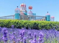 逃离薰衣草地（探索迷宫、解谜、寻找线索，挑战你的智慧和勇气！）
