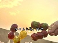 《美味山楂串糖葫芦游戏攻略——尽享糖果之乐》(制作、玩法、技巧,快来探索山楂串糖葫芦的世界吧!)