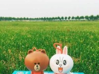 我在等你长大游戏攻略（游戏攻略，探寻成长的秘密）