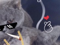 《猫出装攻略男，偷包子的绝佳伙伴！》（用聪明才智解锁猫咪出装攻略，为猫星人量身定制男装打扮）