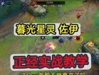 佐伊双人玩法攻略大全视频,协同作战，掌控战场