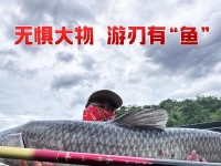 《原神鱼竿全面攻略》（成为顶级渔夫的必备指南）