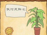 《探索囧游戏2十五关攻略，闯过囧境的终极指南》（面对囧境的挑战，怎样才能成功逃脱？）