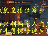 猫鼠大战（打造无敌黑猫，让老鼠无处可逃！）