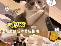 《探索猫咪和饺子游戏的攻略》（领略游戏乐趣，轻松通关攻略）