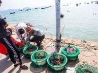 渔家乐游戏大全攻略（提供给您的最佳渔家乐游戏攻略，让您成为捕鱼达人）