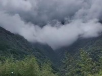 熊猫流派技能加点攻略——掌握技能加点的关键（熊猫流派的技能加点策略解析，帮你打造无敌输出战士！）