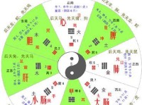 以绿色循环圈攻略五行，保护地球生态平衡（实现可持续发展，共筑美好未来）