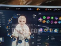 流放之路王者技能加点攻略（从技能加点到胜利无往不利，关键加点揭秘！）