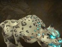 潘达利亚副本攻略（揭秘潘达利亚副本，挑战未知的敌人与困境）