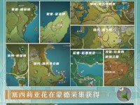 原神攻略大全（探寻攻略宝藏，助你在原神世界中游刃有余！）